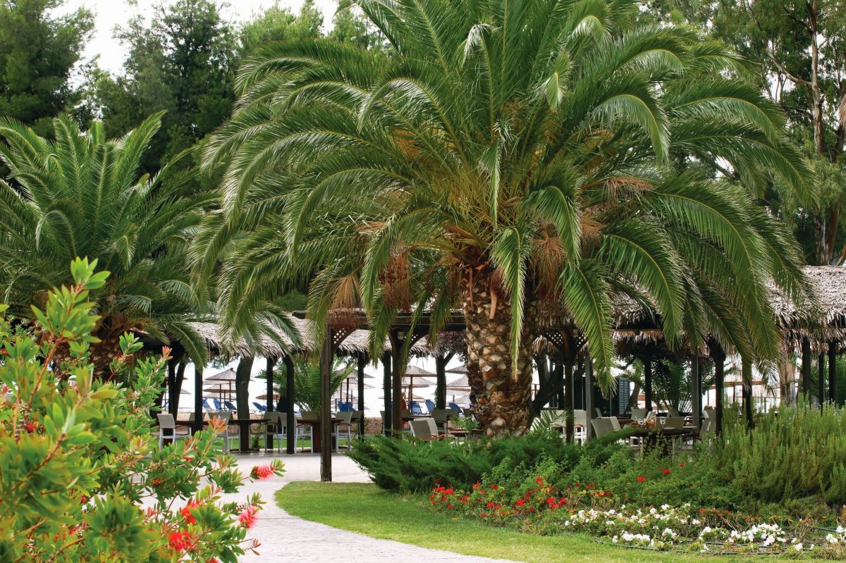 imagini hotel SITHONIA PORTO CARRAS